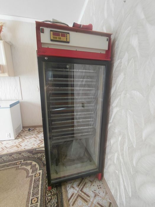 Инкубатор для яйц