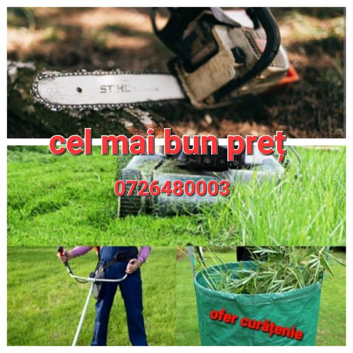 Tai iarba tund defrisez teren gard viu taiem pomi cu drujba copaci