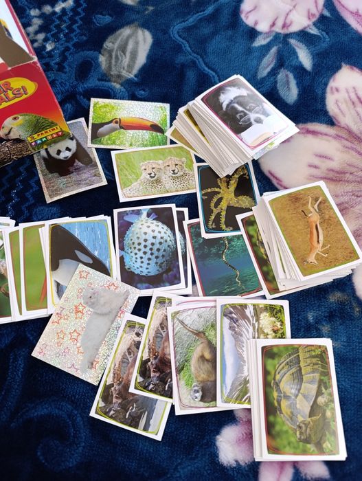 Наклейки о животных Панини