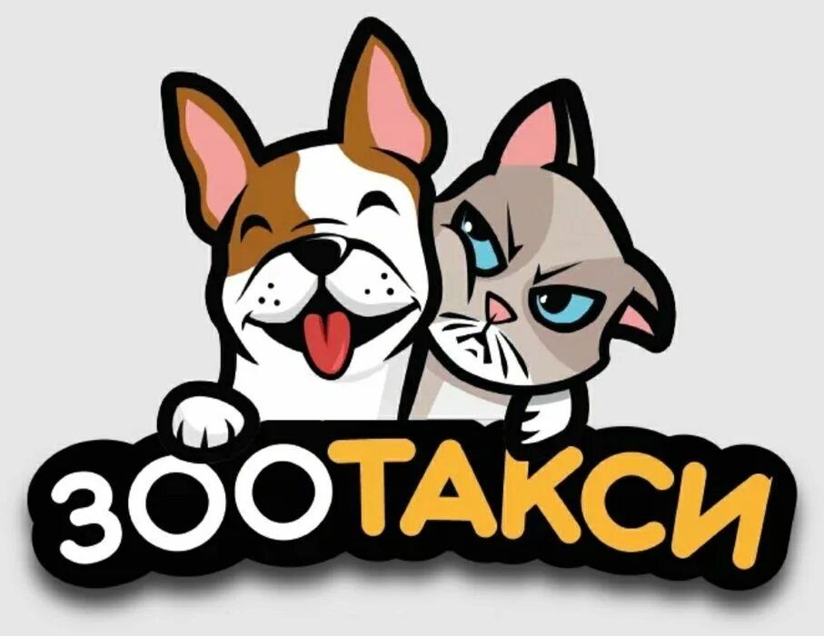 Перевозка питомцев по городу и за город