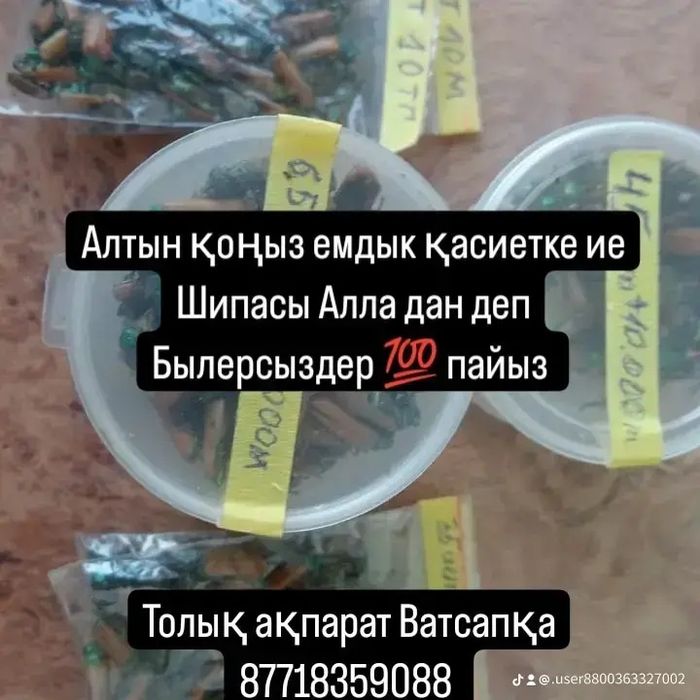 Алтын қоңыз Сатылады