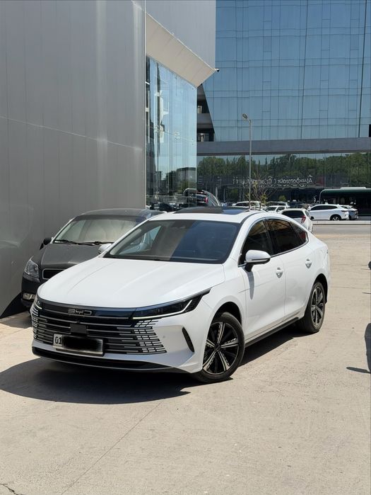 BYD Chazor 2023 4 pozitsiya Full 120 km