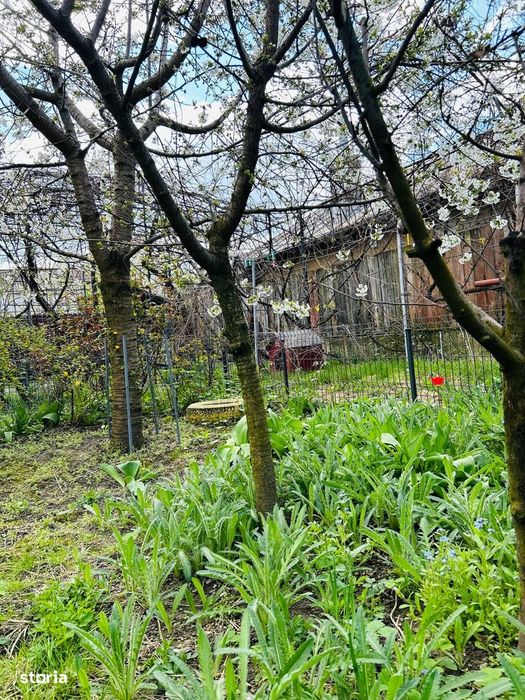Casă 3 Camere – Cartier Cfr, Bacău – Teren 500 Mp
