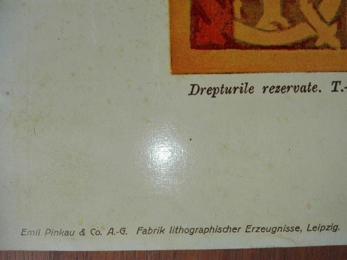 Tablou Litografie Alexandru Ioan Cuza 1909