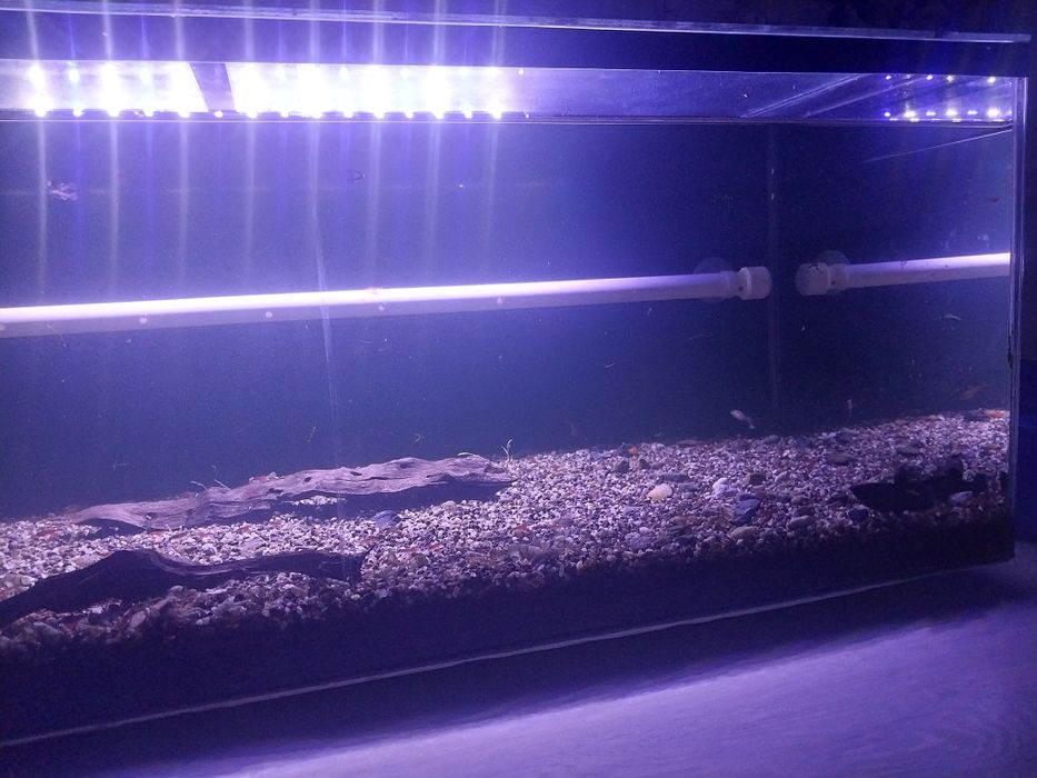 Продам аквариум 100л