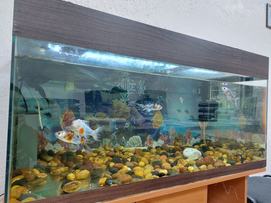 Продам аквариум на 300 литров