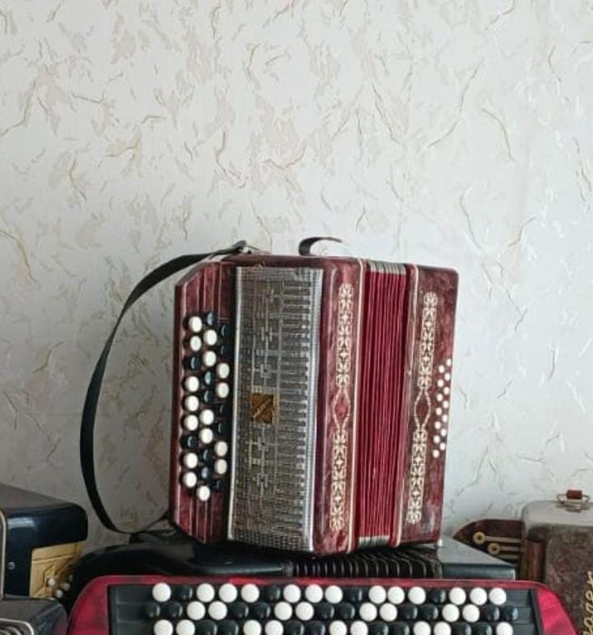 Баяны/аккардионы/гармошки