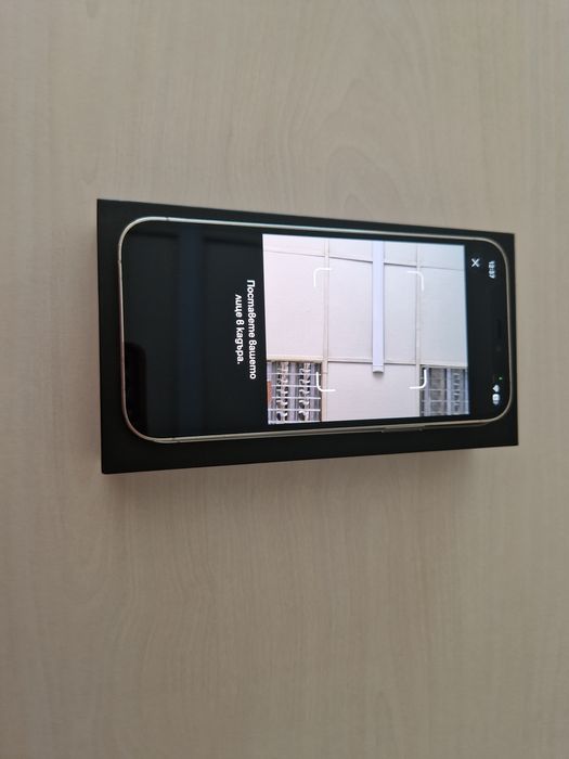 iPhone 12 Pro Silver-256gb /100% battery health