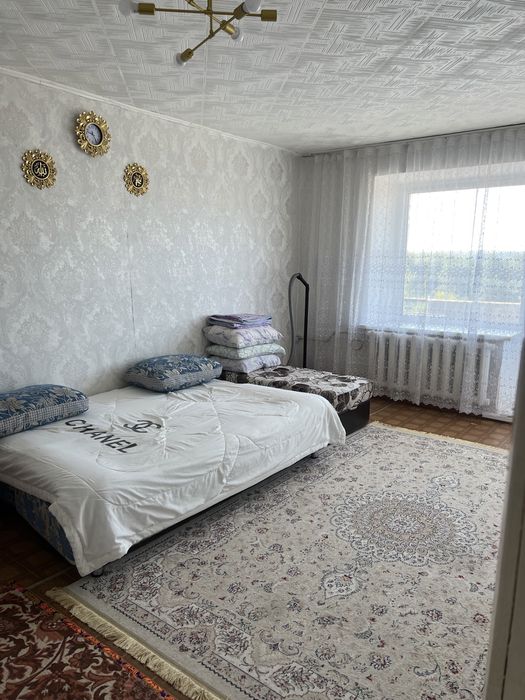 Квартира в центре Борового