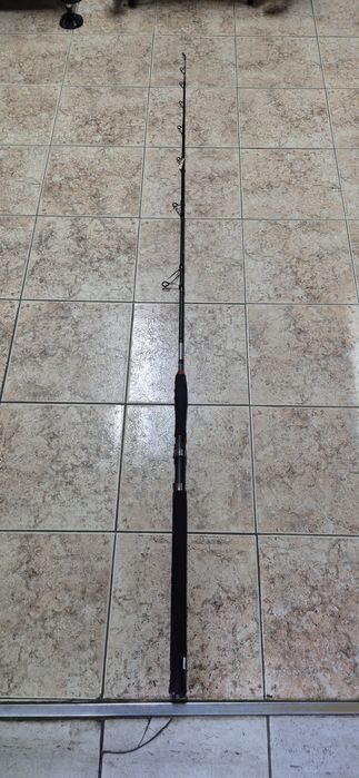 Пръчка за кльонк FLFISHING HERCULES CATFISH 1.98m. 100-300g.