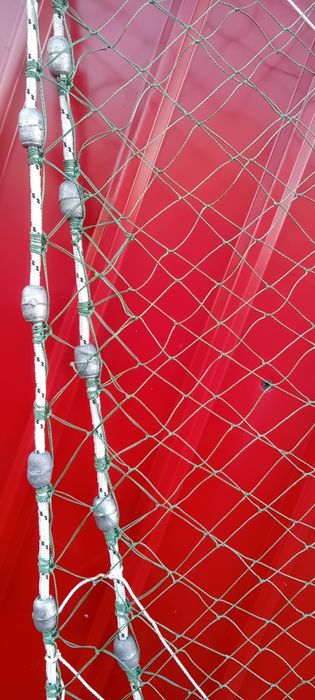 Prostovol cu ochiul mic