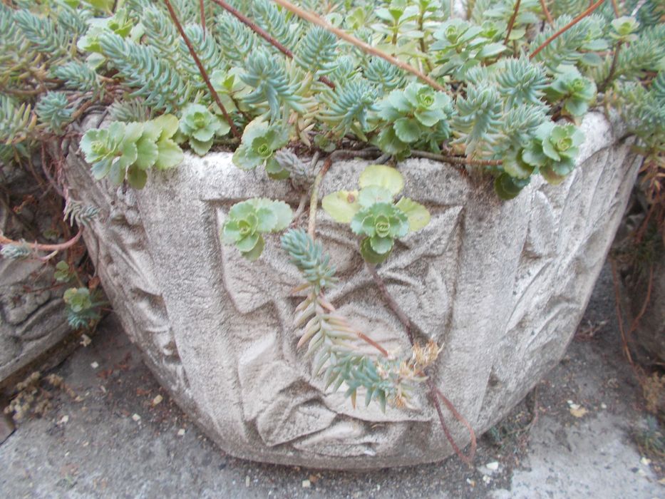 Кашпа , саксия отлят калъп от мраморно брашно, мозайка  и бял цимент