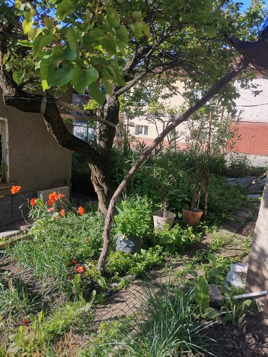 Продава се Къща в Перник, Могиличе - 50 кв.м за 2160 €/кв.м - Снимка #8