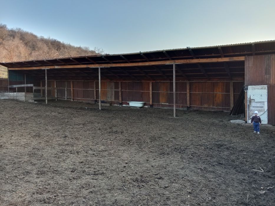 Участок земля 50 соток