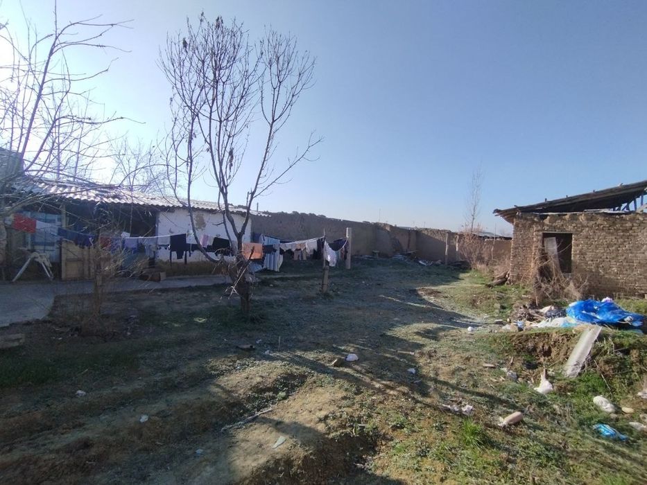 Тошкент вилояти, Янгийул туман, Нихол Махалласида Ер сотилад