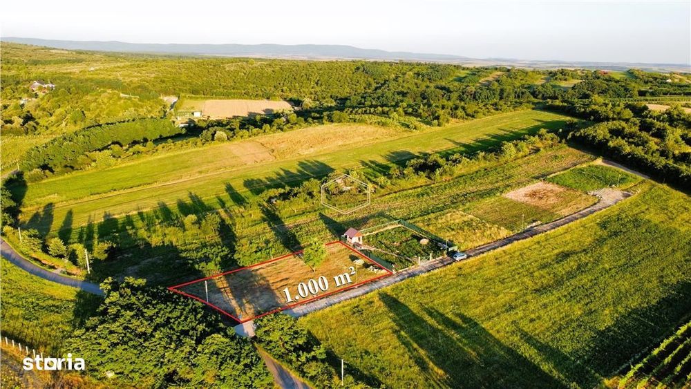 Teren cu vedere panoramica spre oras si padure