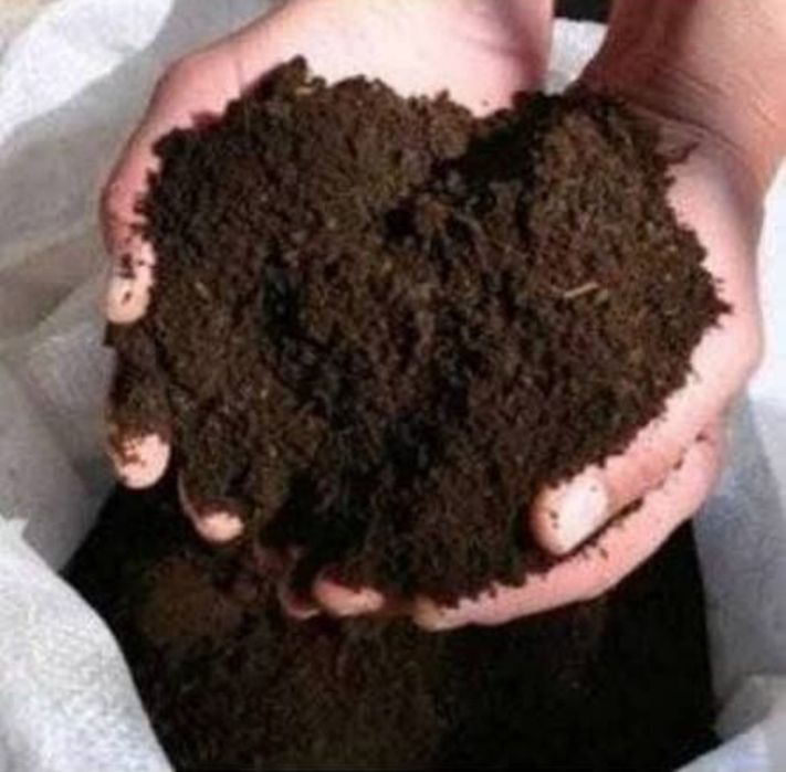 Biogumus oʻgʻit sotiladi