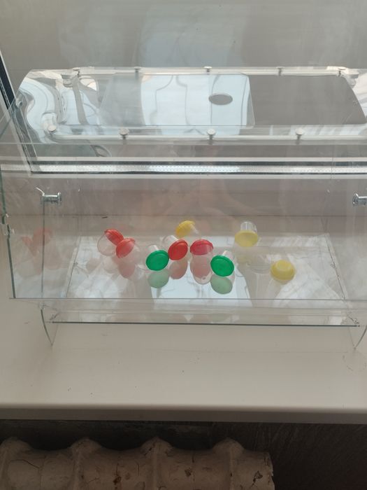 Аренда лототрона.