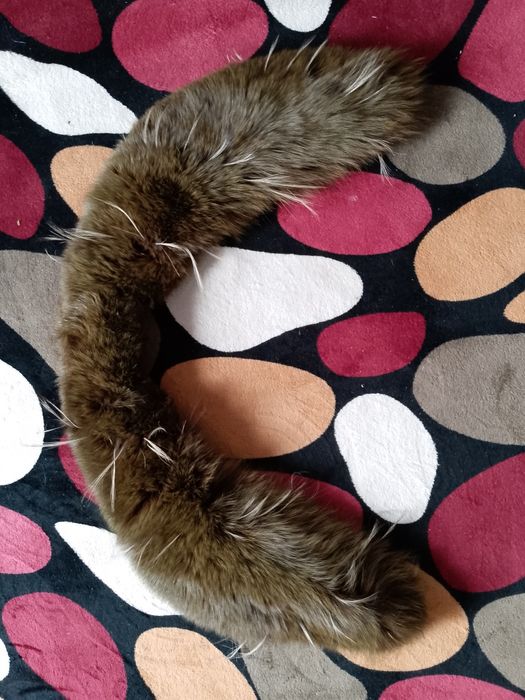 Плащ и шуба женский вариант