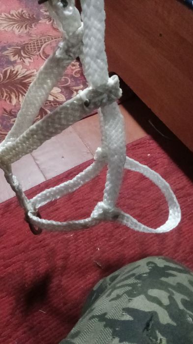 Нокта обротьку налошоть