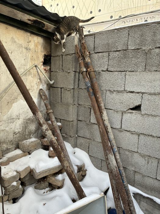 Продам струпцину 5 штук 3500