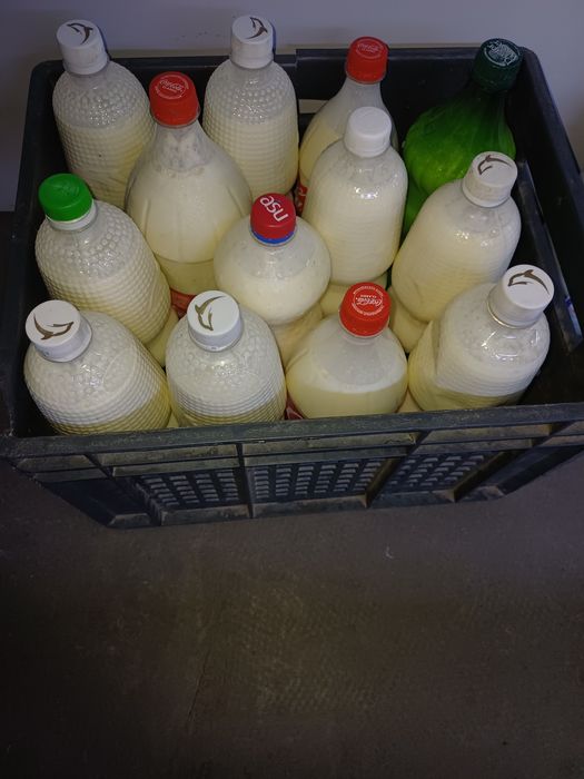 Сут молоко домашнее оптом