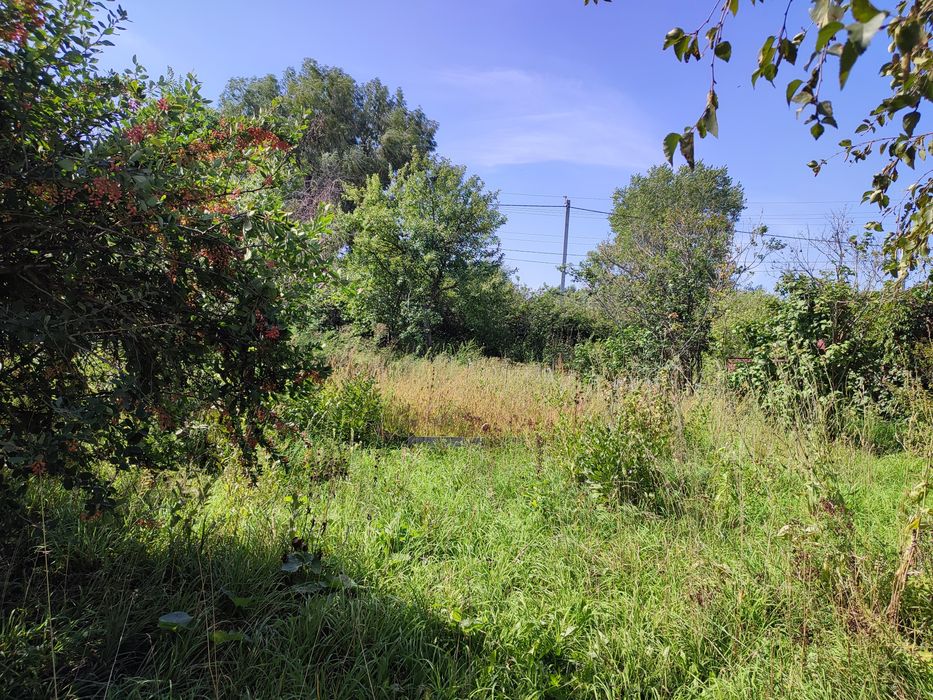 Продам дачу -зем.участок