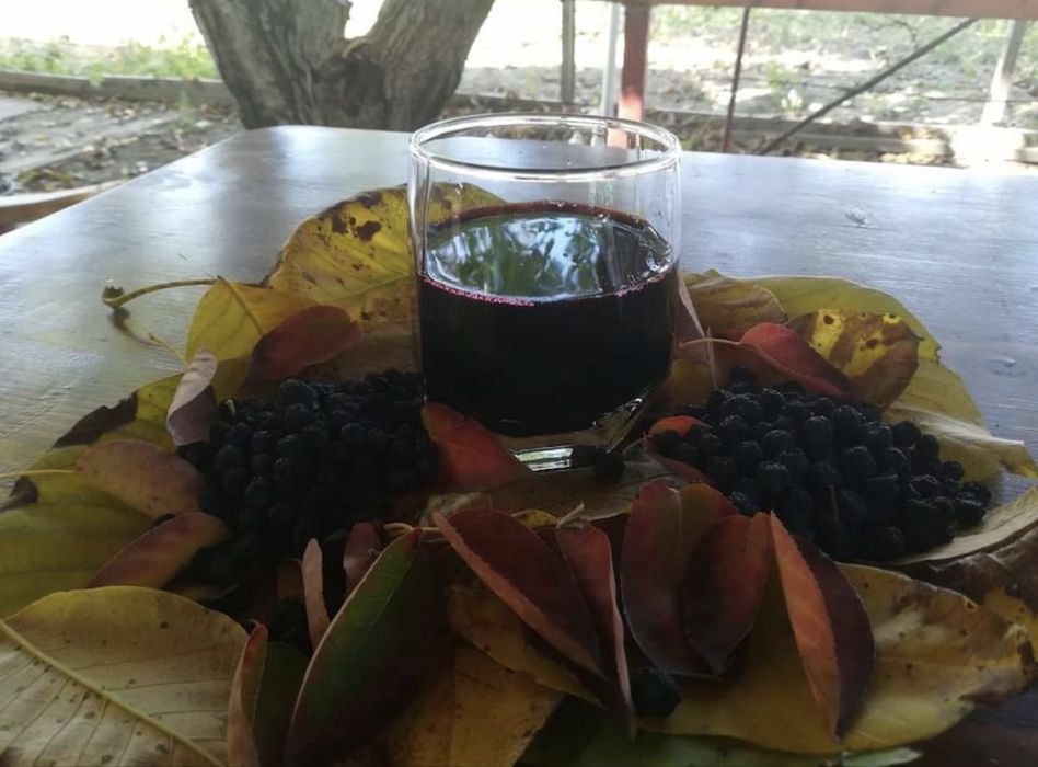 Suc Aronia BIO certificat