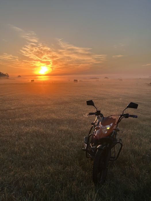 В продаже Alpha Sport Pro 125