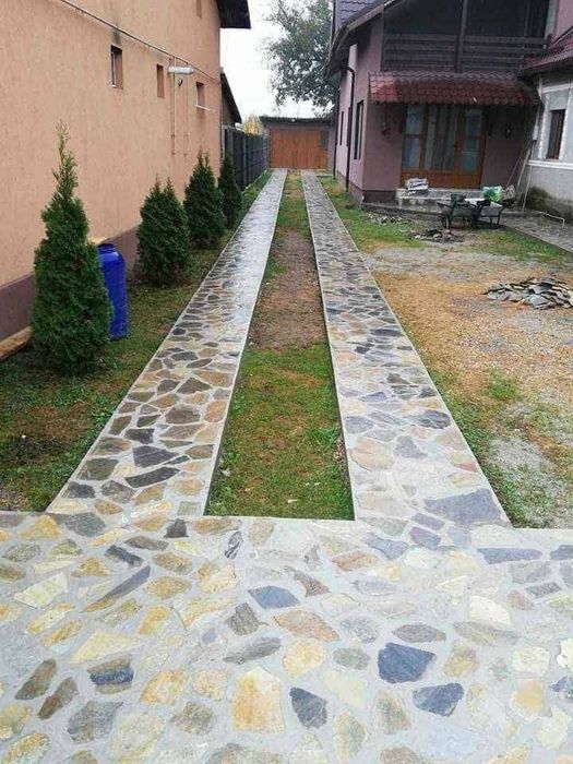 Vând leylandi și piatră naturală