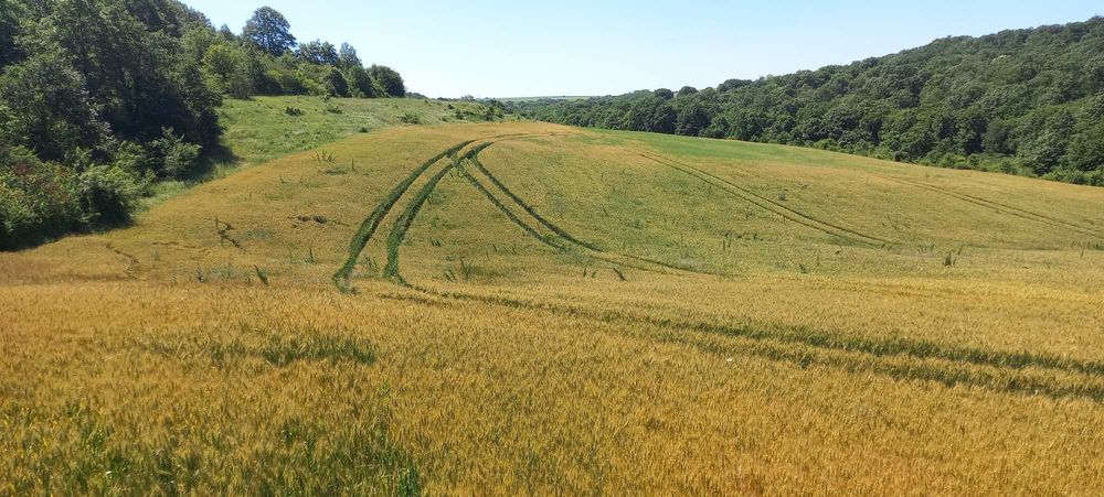 Земеделска земя обл.Варна, общ.Аксаково, с.Зорница