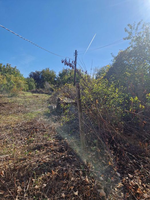 Продава се Къща в Лом - 40 кв.м за 637 €/кв.м - Снимка #2