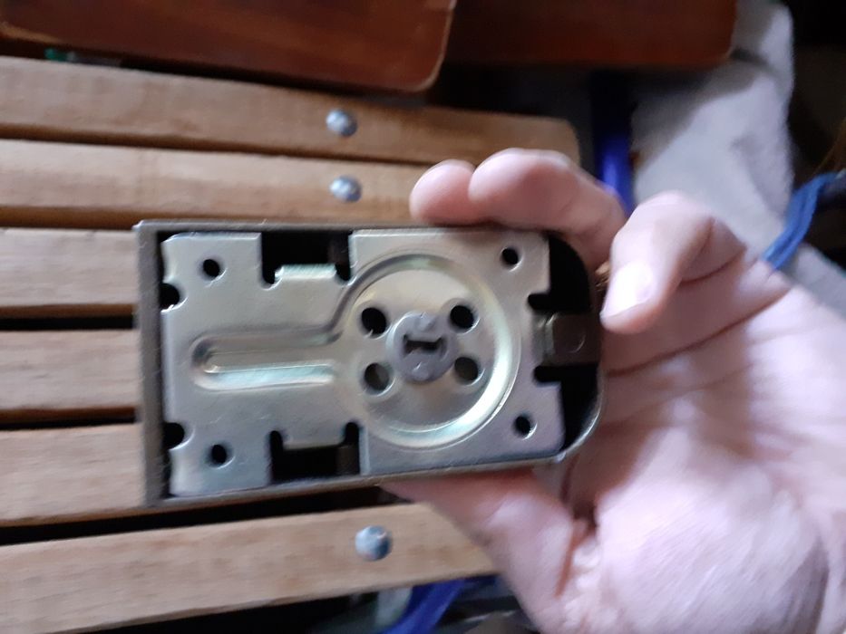 Broasca usa de intrare