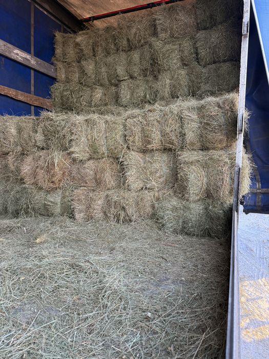 Vand baloti de fan(otava)