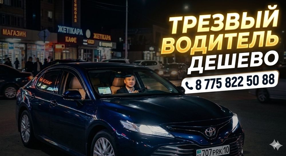 Трезвый водитель