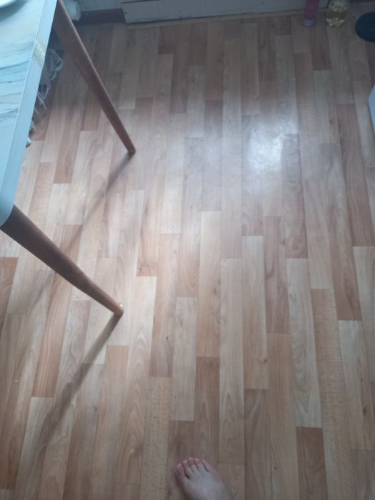 Отдам даром бесплатно
