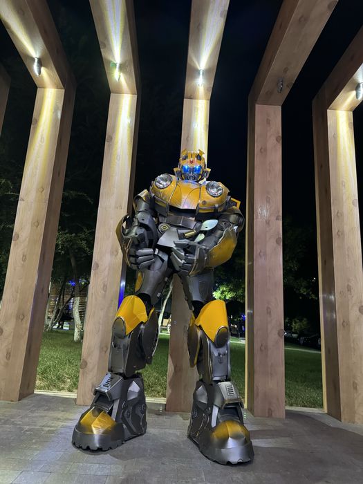 Организация мероприятия, АНИМАТОРЫ