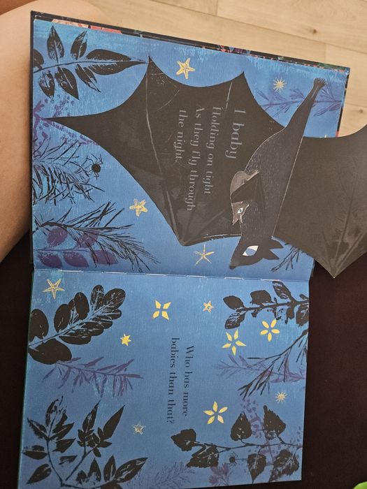 Carte cu clapete limba engleza