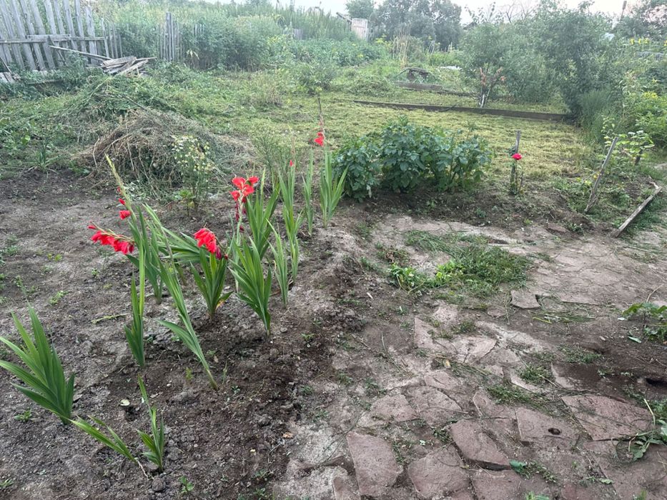 Продам дачу в городе