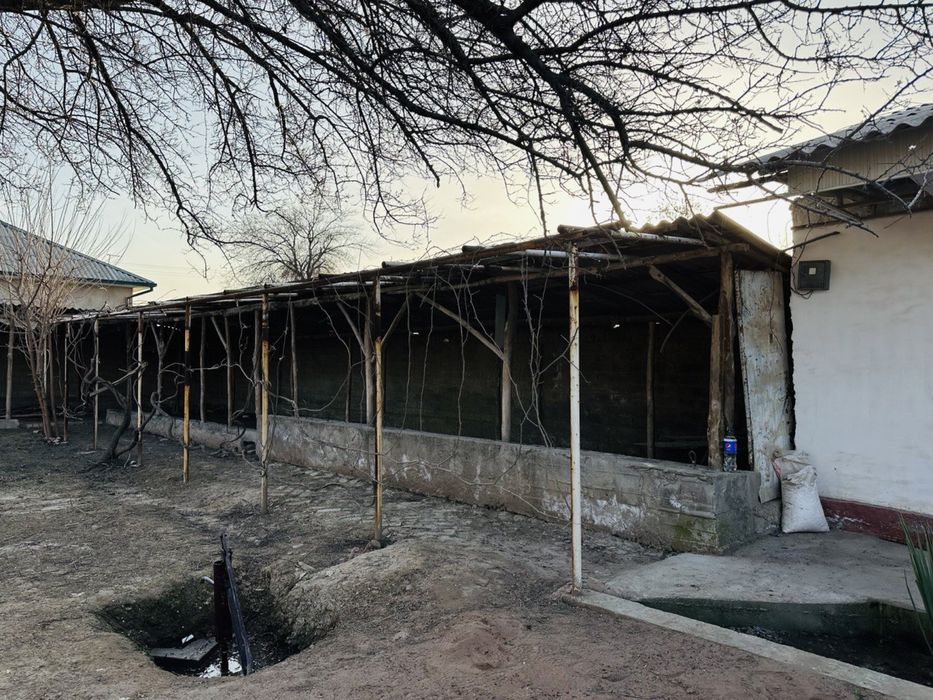 Нурафшон Бургалида 6 сотихли дача сотилади