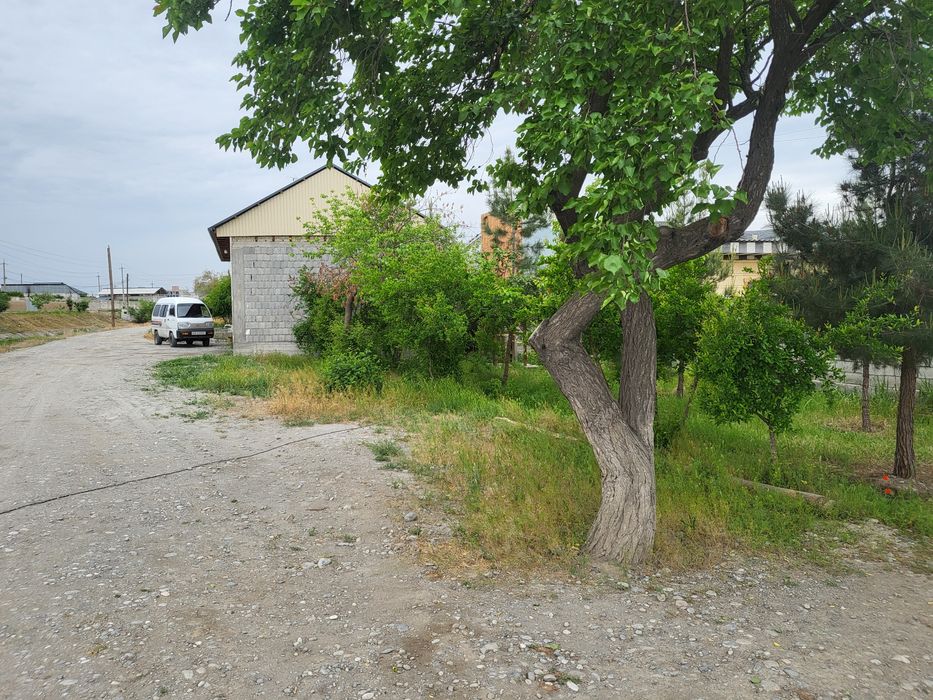 Chek sotiladi 2 xona uyi bor 12 soti
