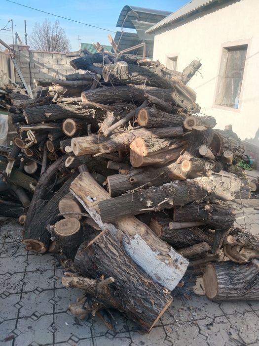 Отын отын сатамын тез арада