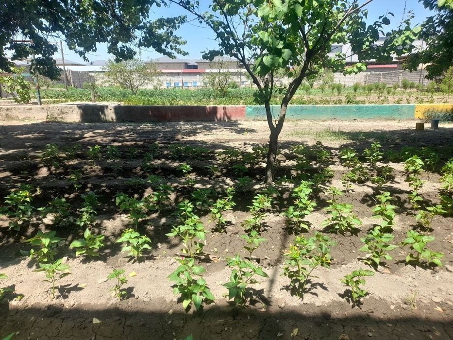 Земляной участок