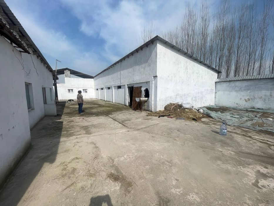 Ферма продается срочно 25сотих