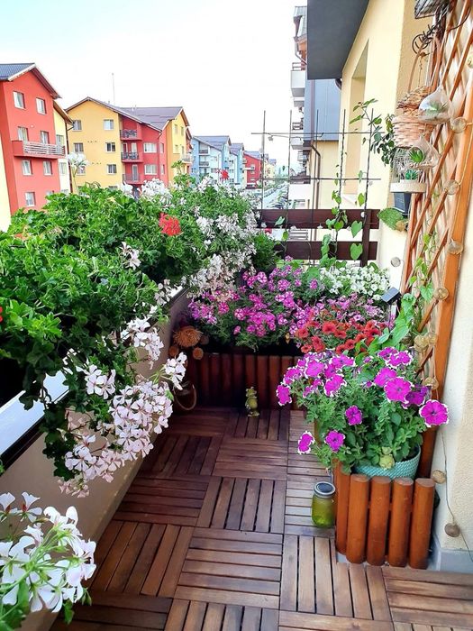 Vand Apart 2 camere