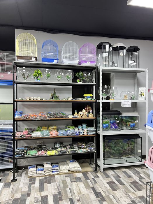 Аквариумы и рыбки