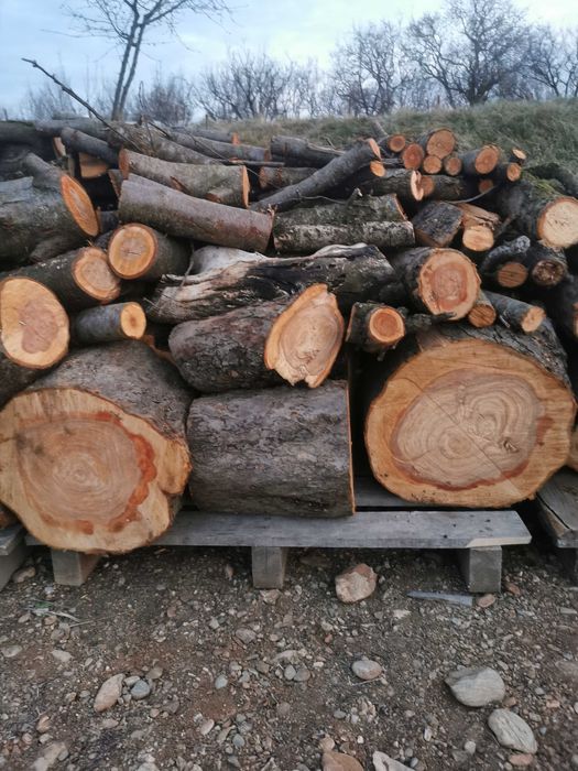 Lemne prun și mar  pentru afumat. sau pentru foc. 200ron/ms