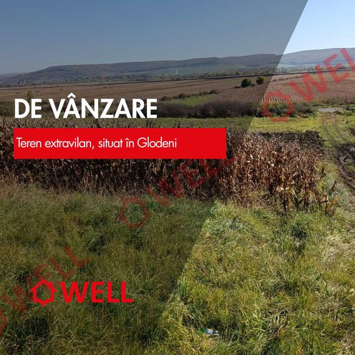 De vânzare terenuri extravilane, situate în Glodeni
