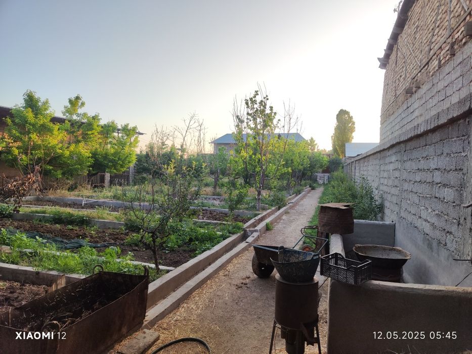 Молхона, чорвачилик учун жой. аренда ижара