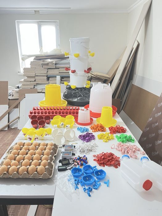 Гниздо домашный птица и тавар